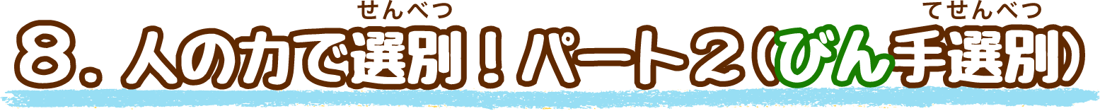 びんは色ごとに選別するよ！（びん手選別）