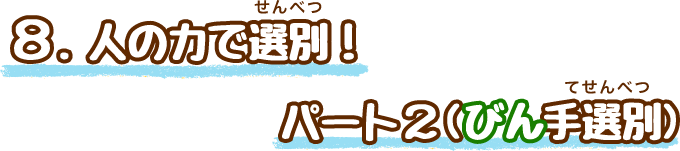 びんは色ごとに選別するよ！（びん手選別）